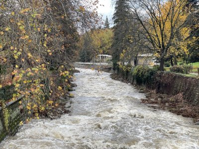 Обилните валежи наводниха улици, мостове и мазета в общините Сандански и Петрич