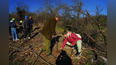 След пожара: Залесяват местността "Гарга баир" край Арбанаси