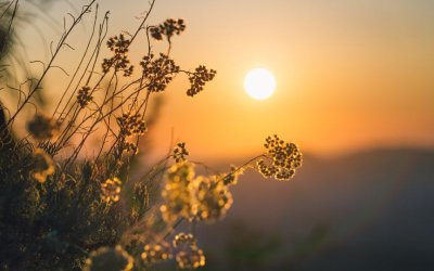 Слънчев и по-топъл понеделник предстои утре