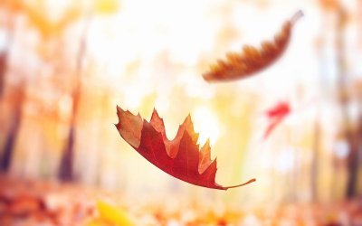 Мъгли, дъжд, слънчеви паузи и доста топло време за ноември