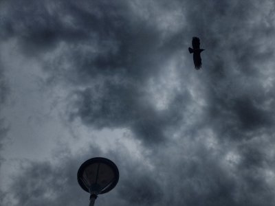 The Week Ends In Red Weather Alert and Heavy Rain, but Next Week Starts with Sunshine