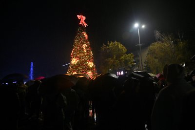 Запалиха светлините на коледната елха в Монтана (СНИМКИ)