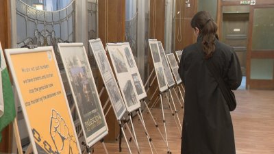 Лични истории за Палестина: Международен ден за солидарност с палестинския народ