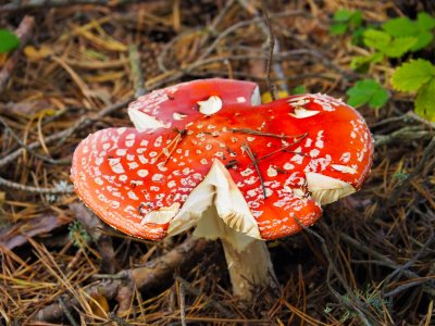 Температурите в следващите дни бавно ще се повишават