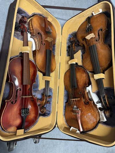 Undeclared Violins Seized by Customs Officers at Sofia Airport