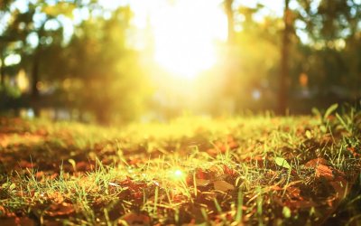 Мъгливо утро, слънчев следобед във вторник