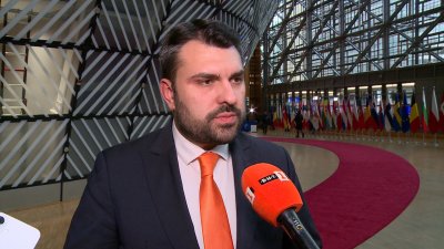 Foreign Minister Georg Georgiev: Early Elections a Last Resort