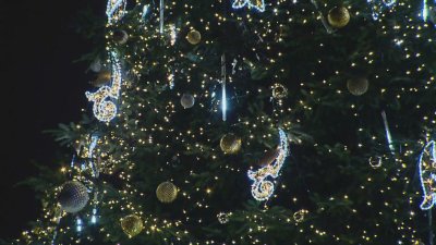 Коледно настроение в Полша: Краков блести с внушителната 15-метрова елха