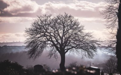 Без валежи и със сутрешни мъгли през следващите дни