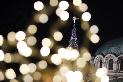 София заблестя с украса за Коледа