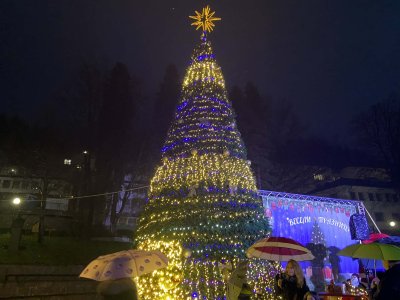 Коледната елха грейна и в Смолян