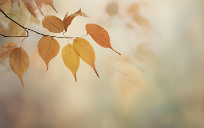 Времето в страната днес и в петък