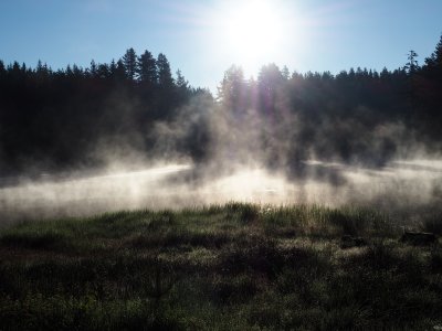 Сутрешни мъгли и предимно слънчево време следобед в следващите дни