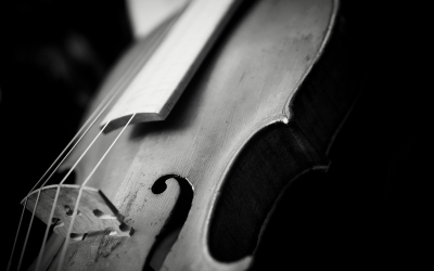 Рядка цигулка, дело на майстора Дзузепе Гуарнери дел Джесу, на търг в Париж