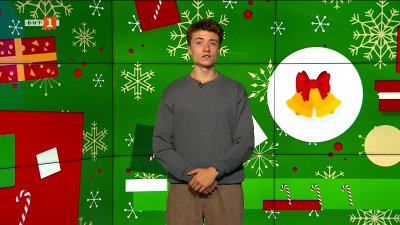 Германско семейство постави световен рекорд за най-много коледни елхи