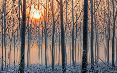 Слънце след мъглите, по-топло утре