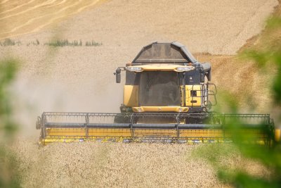 До 5 януари 2026 г. земеделците избират как да облагат доходите си за бъдещи периоди