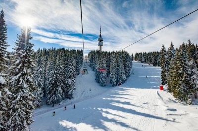 Поглед към Пампорово – какъв е интересът към известния зимен