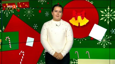 Бебета сурикати в Софийския зоопарк