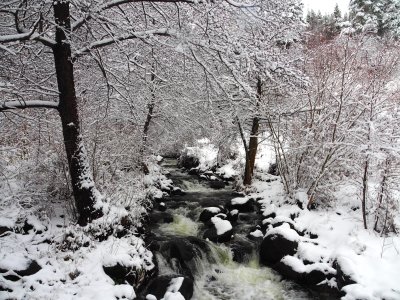 До 15&deg; днес, в неделя ще завали сняг