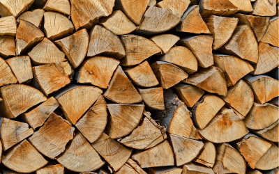 На студено и без дърва - как в Русенски села платиха, но не получиха дърва за огрев?