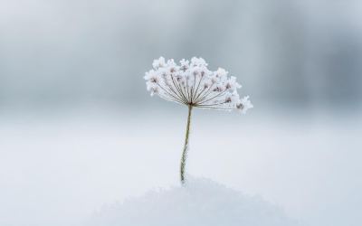 Настъпва астрономическата зима - посрещаме я с облачно и дъждовно време
