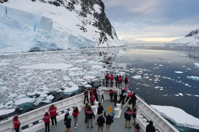 Антарктида, едно от най-отдалечените места на Земята, кипи от живот (СНИМКИ)
