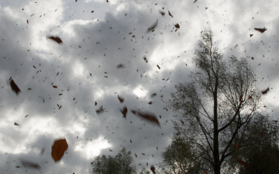 В понеделник в почти цялата страна остава в сила код