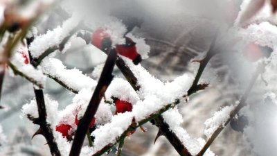 След падналия сняг - все още има места без ток