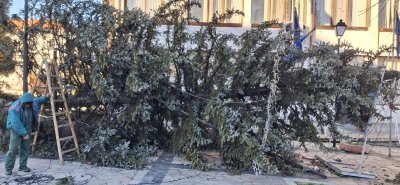 Бурният вятър събори дървета и нанесе щети в общините Банско