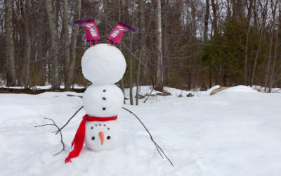 Какво време ни чака през януари?