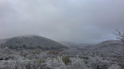Тази нощ във високата част на прохода Петрохан заваля сняг