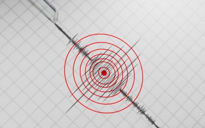 Земетресение с магнитуд 6 1 по Рихтер разтърси днес югоизточния