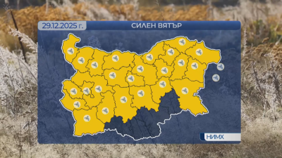 Жълт код за силен вятър е обявен за днес в