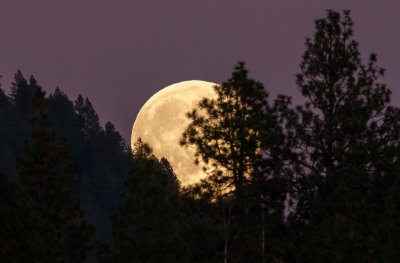 Първите за 2026 г суперлуна и метеорен поток ще се