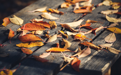 В Източна България и на север от планините ще духа