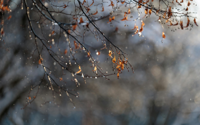 Минималните температури в сряда ще са между 0° и 14°