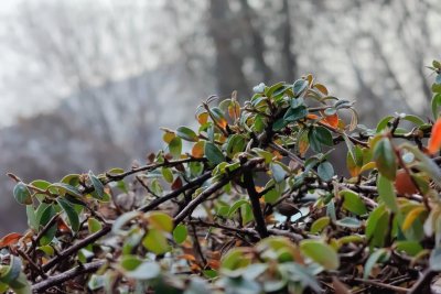 Времето в петък и през уикенда