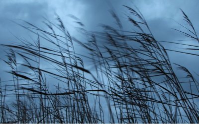 Предимно облачно и отново ветровито време в неделя