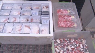 Единственият лицензиран терариум у нас който се намира в хасковското