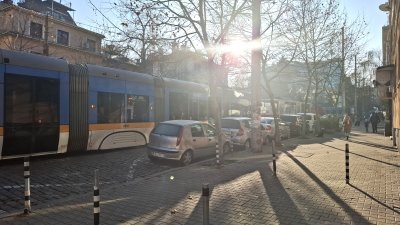 Паднало дърво в района на Семинарията временно спря движението на