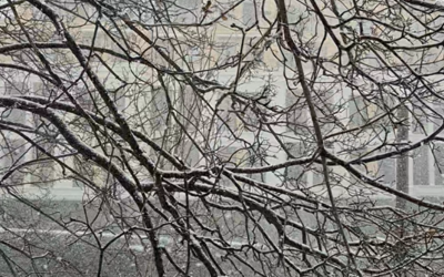 Във Варна и областта заваля сняг В 15 00 ч