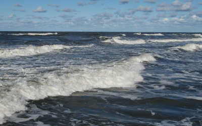 Изминалата 2025 г. е била най-топлата в историята на Северно море