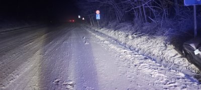 Пътят Русе Бяла е временно затворен за товарни автомобили над