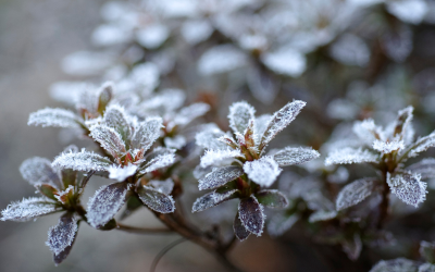 Мразовито утро и във вторник