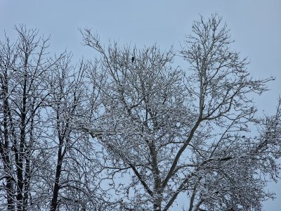 През почти всички месеци на изминалата 2025 г в различни