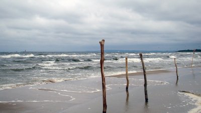 Вятър със скорост над 150 км/ч събори дървета, повреди самолети и блокира фериботи