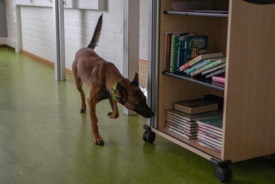 Запознайте се с Орка - първото куче в България, обучено да открива фалшиви банкноти (СНИМКИ)