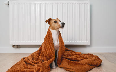 Температурите ще останат ниски &ndash; между минус 1 и 4 градуса