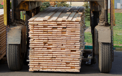 Министърът на околната среда и водите в оставка Манол Генов